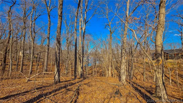 Kitchen — Lot #323 Oak Drive Sunrise Beach Missouri real estate
