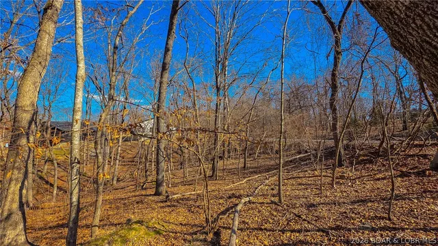 Primary bedroom — Lot #323 Oak Drive Sunrise Beach Missouri real estate