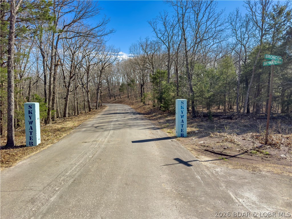 A-1 B-1 Little Lane Gravois Mills Missouri home for sale listed at $34,900