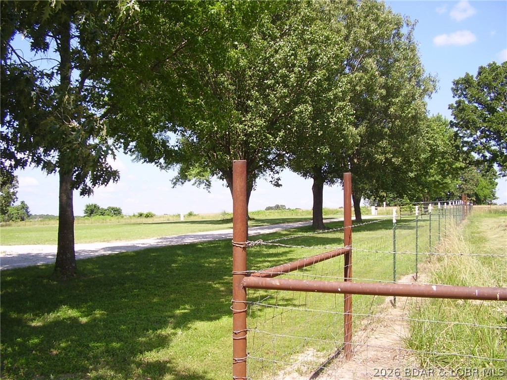 Photo 43