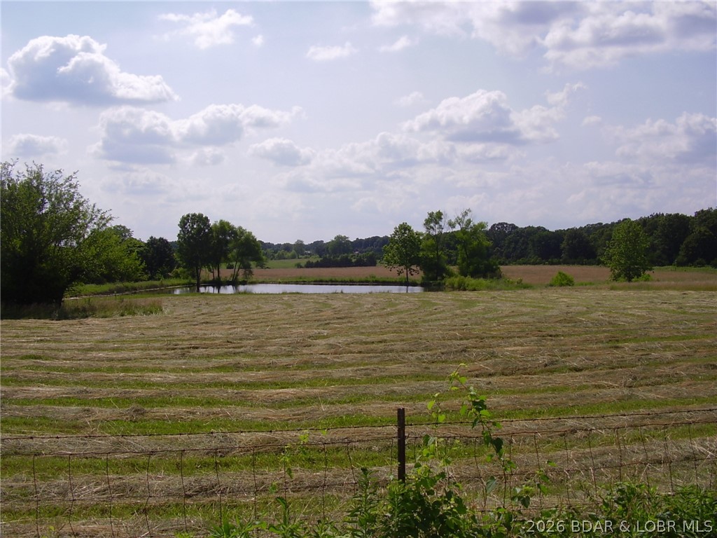 Photo 42