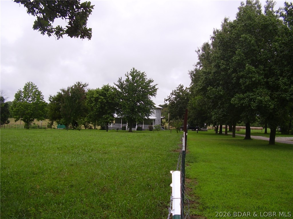 Photo 46