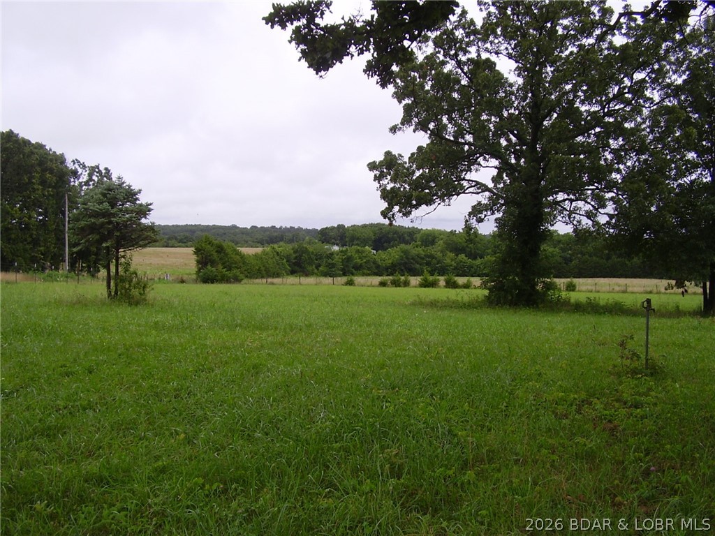 Photo 47