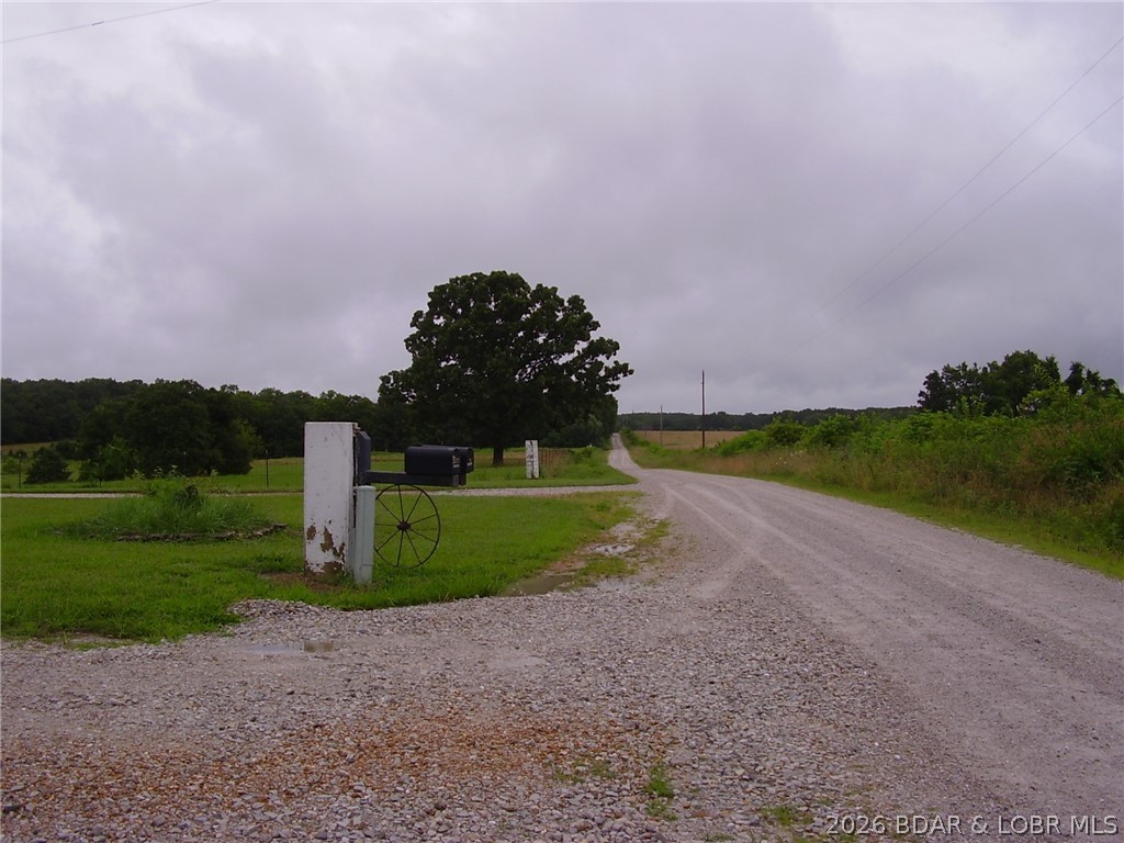 Photo 48