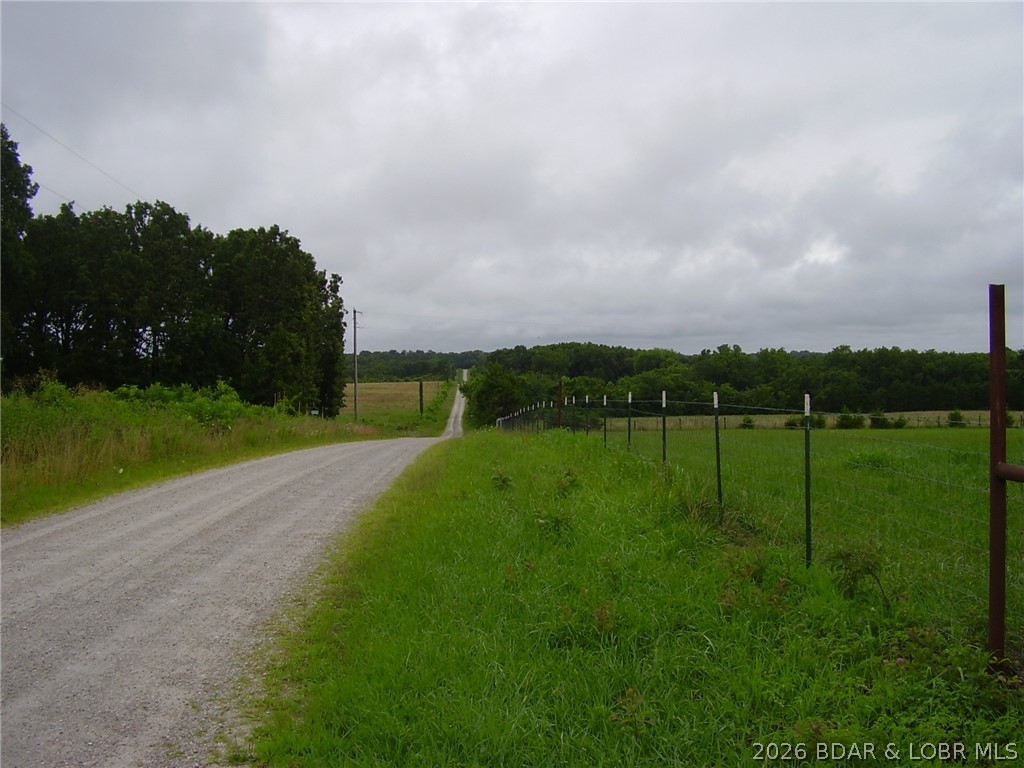 Photo 49