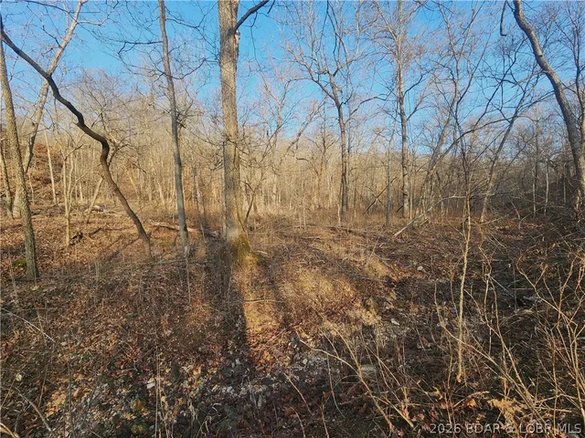 Living room — Lot 5 State J Road Roach Missouri real estate
