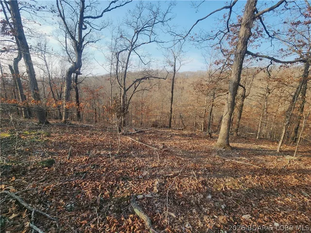 Primary bedroom — Lot 5 State J Road Roach Missouri real estate