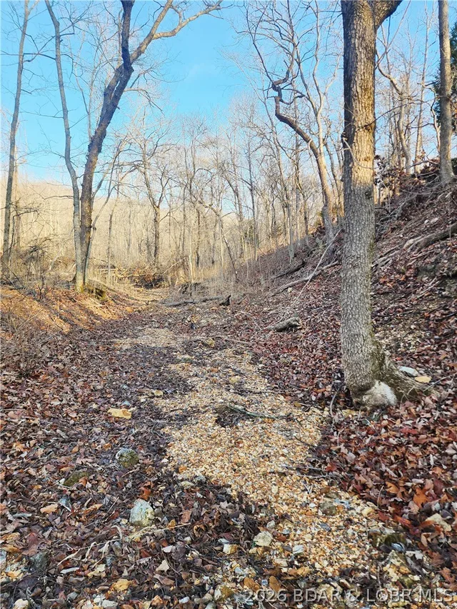 Front exterior — Lot 8 State J Road Roach Missouri real estate