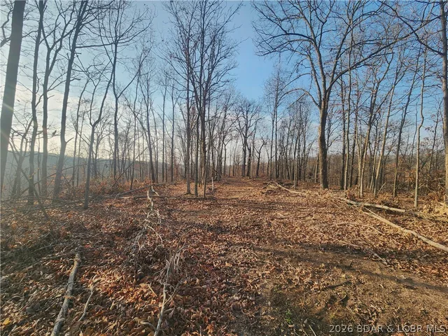 Kitchen — Lot 8 State J Road Roach Missouri real estate