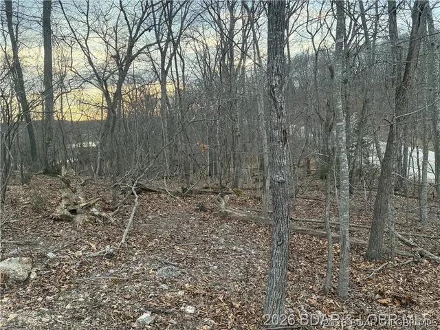 Front exterior — TBD LOT 116 Veronica Lane Four Seasons Missouri real estate
