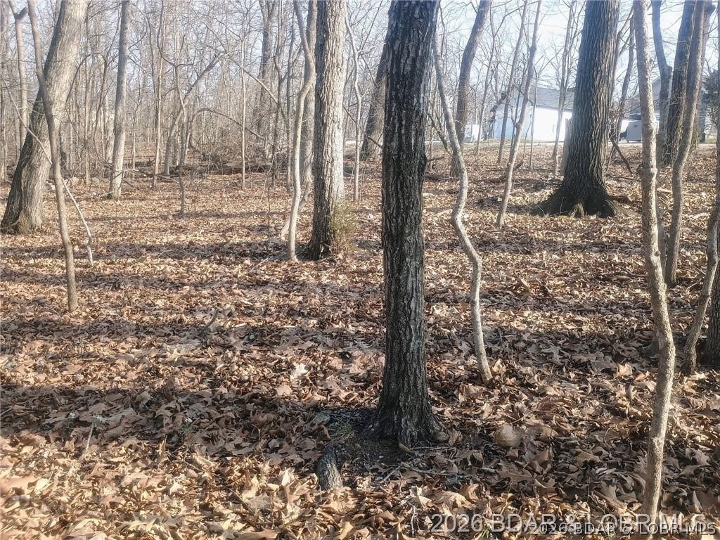 LOT TBD 344 Austin Circle Four Seasons Missouri home for sale listed at $5,000