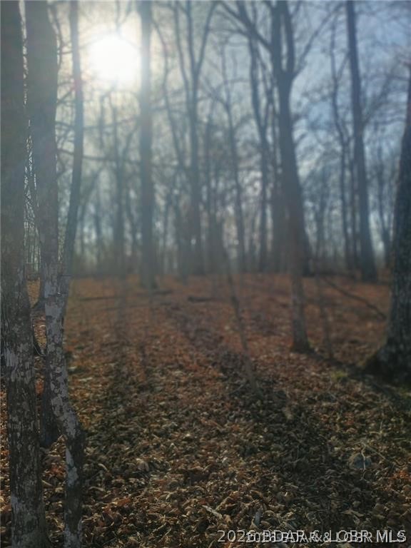 Front exterior — LOT TBD 344 Austin Circle Four Seasons Missouri real estate