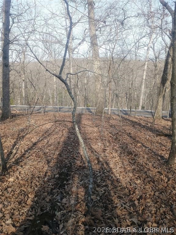 Primary bedroom — LOT TBD 344 Austin Circle Four Seasons Missouri real estate