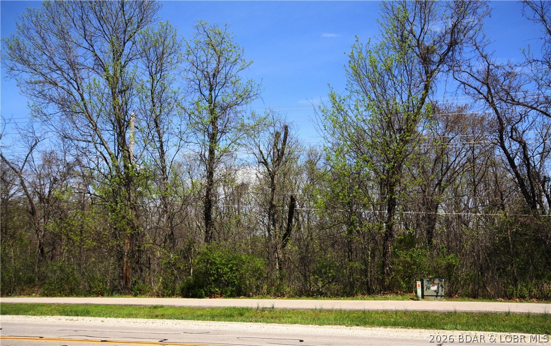 Lot 698 Horseshoe Bend Parkway Lake Ozark Missouri home for sale listed at $2,000