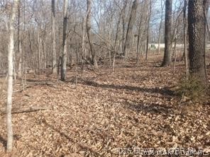 TBD LOT 47 & 48 Bloomington Drive Four Seasons Missouri home for sale listed at $7,500