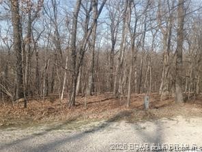Front exterior — TBD LOT 47 & 48 Bloomington Drive Four Seasons Missouri real estate
