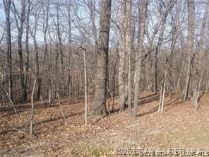 Kitchen — TBD LOT 47 & 48 Bloomington Drive Four Seasons Missouri real estate