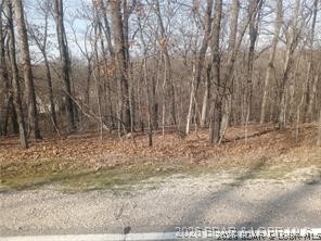Primary bedroom — TBD LOT 47 & 48 Bloomington Drive Four Seasons Missouri real estate