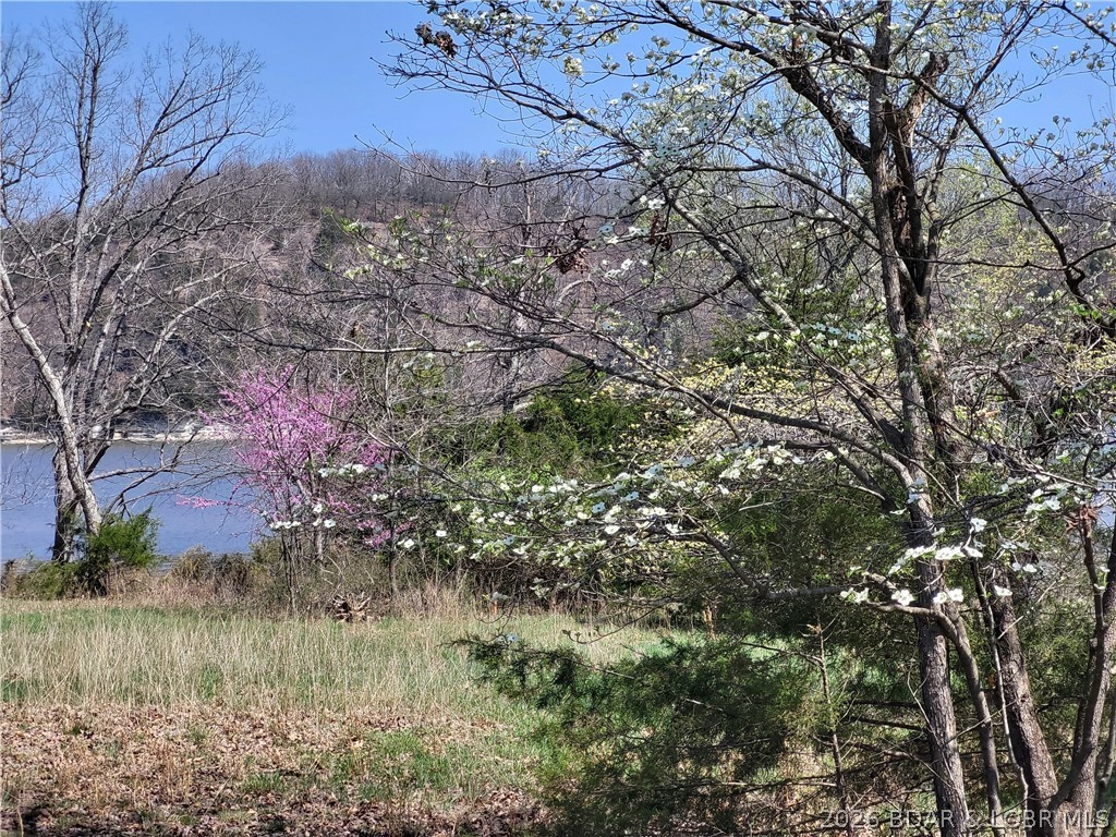 Emerald Hills Drive Edwards Missouri home for sale listed at $50,000