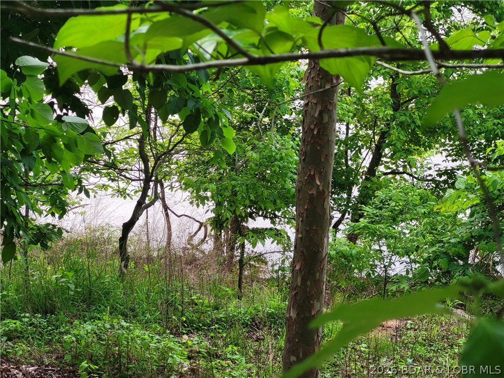 Emerald Hills Drive Edwards Missouri home for sale listed at $125,000
