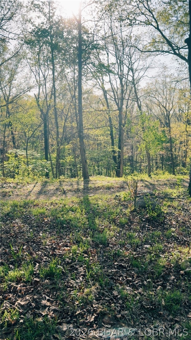 16426 Grace Road Barnett Missouri home for sale listed at $89,000
