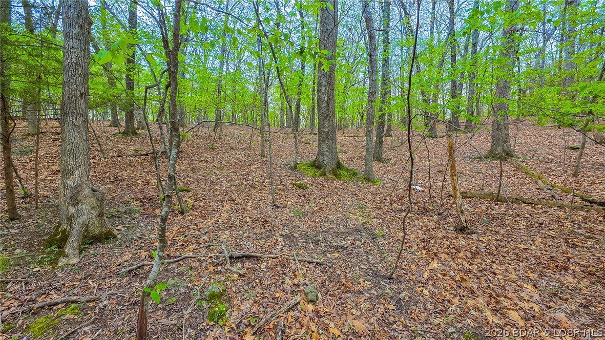Lot #499 Grand View Drive Sunrise Beach Missouri home for sale listed at $37,500