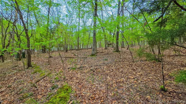 Front exterior — Lot #499 Grand View Drive Sunrise Beach Missouri real estate