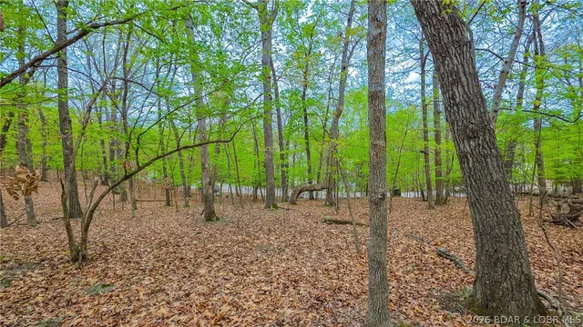 Living room — Lot #499 Grand View Drive Sunrise Beach Missouri real estate