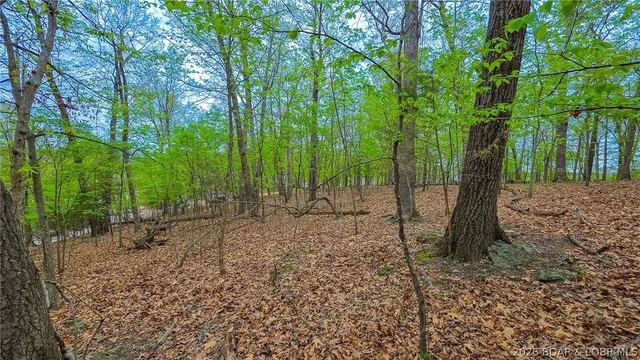 Kitchen — Lot #499 Grand View Drive Sunrise Beach Missouri real estate