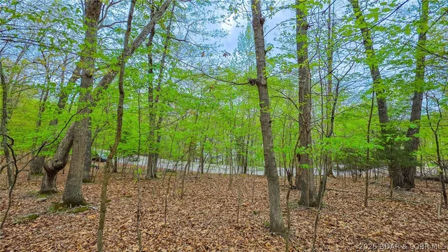 Primary bedroom — Lot #499 Grand View Drive Sunrise Beach Missouri real estate