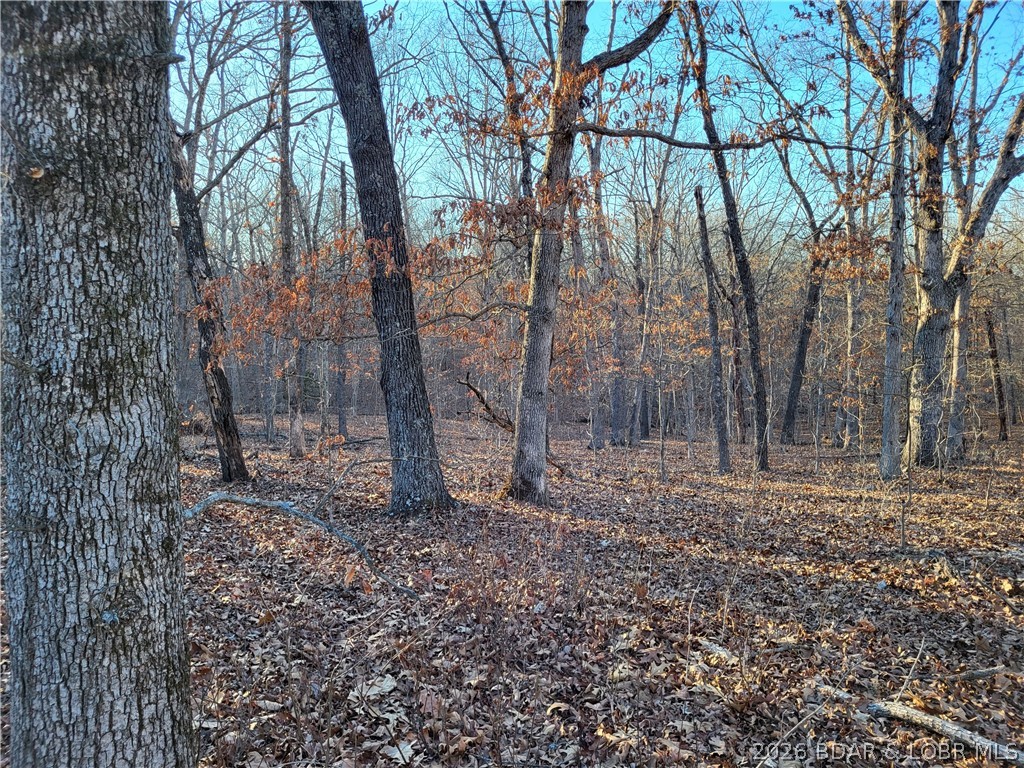 Wenzel Place, Edwards MO