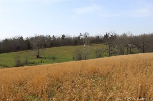 Kitchen — 80 ac. Ripley Co 160W-15 Road null Missouri real estate