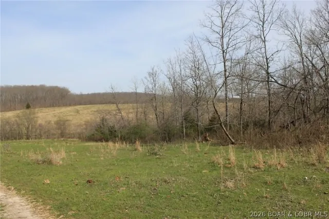 Primary bedroom — 80 ac. Ripley Co 160W-15 Road null Missouri real estate