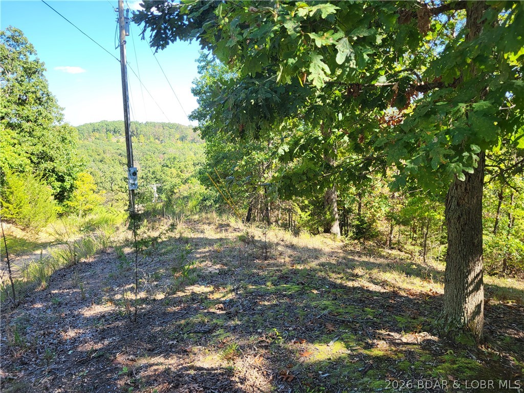 32534 Compromise Road Gravois Mills Missouri home for sale listed at $30,000