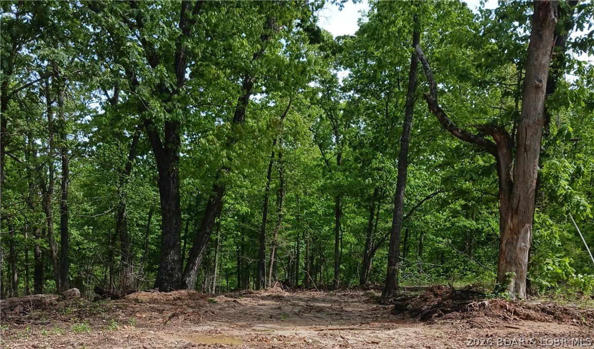 TBD Possum Trot Road, Stover MO