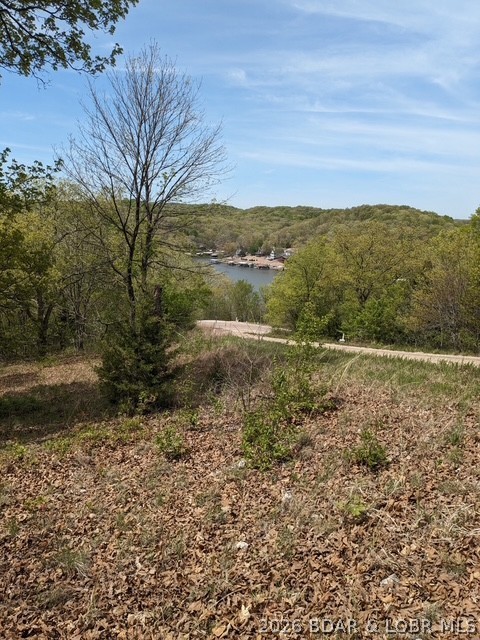 Eagle Ter Gravois Mills Missouri home for sale listed at $17,900