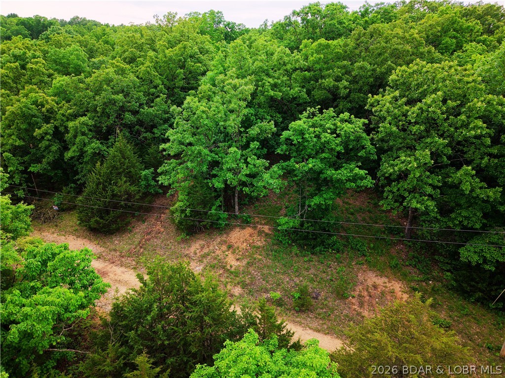 TBD Mohawk Lane Rocky Mount Missouri home for sale listed at $12,500