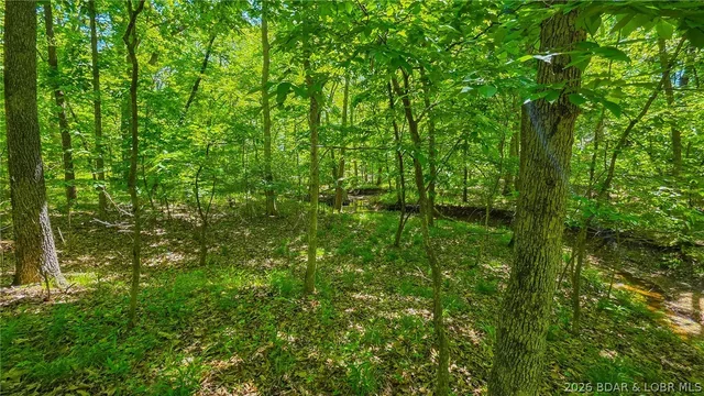 Living room — Lot #1148 Spring Creek Drive Sunrise Beach Missouri real estate