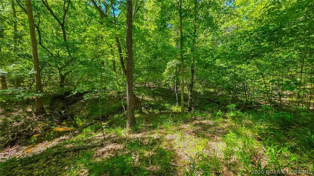 Kitchen — Lot #1148 Spring Creek Drive Sunrise Beach Missouri real estate