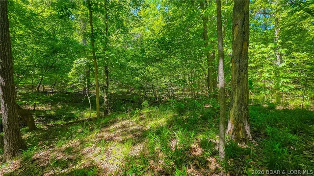 Primary bedroom — Lot #1148 Spring Creek Drive Sunrise Beach Missouri real estate