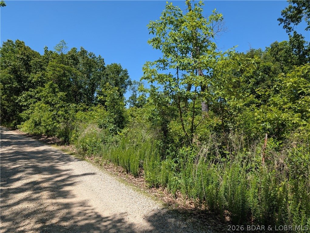 12907 Montana Road Gravois Mills Missouri home for sale listed at $279,900