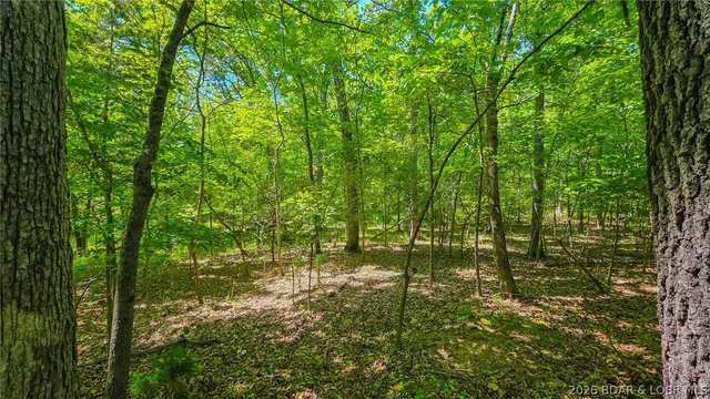 Living room — Lot #1150 Spring Creek Drive Sunrise Beach Missouri real estate