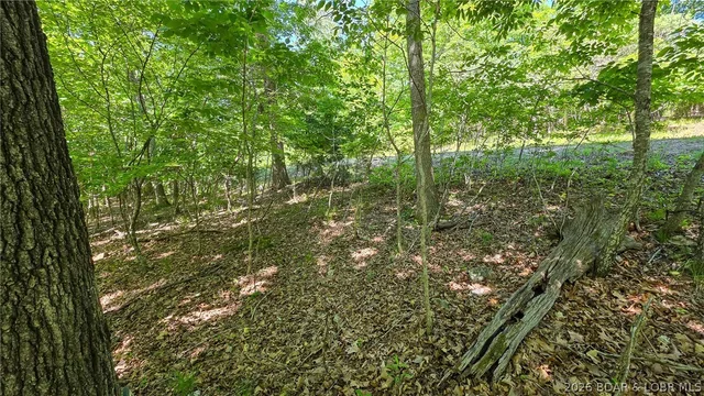 Kitchen — Lot #1150 Spring Creek Drive Sunrise Beach Missouri real estate