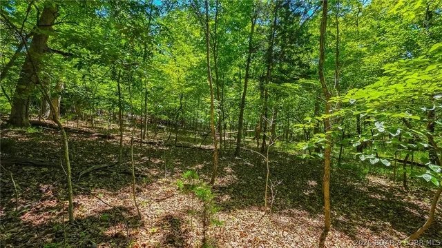 Primary bedroom — Lot #1150 Spring Creek Drive Sunrise Beach Missouri real estate