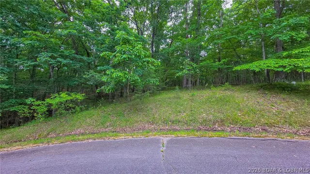Living room — Lot #850 Grand Cypress Court Sunrise Beach Missouri real estate