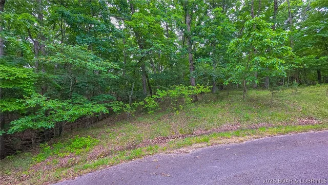 Kitchen — Lot #850 Grand Cypress Court Sunrise Beach Missouri real estate