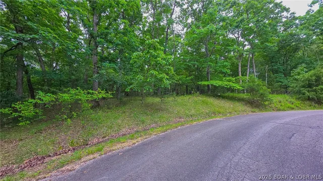 Primary bedroom — Lot #850 Grand Cypress Court Sunrise Beach Missouri real estate