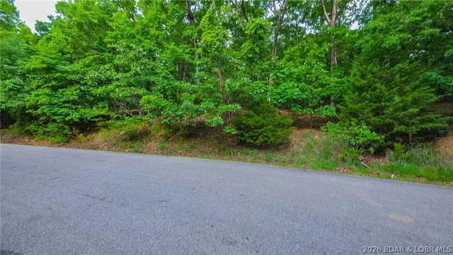 Living room — Lot #469 Grand View Drive Sunrise Beach Missouri real estate