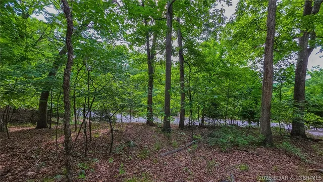 Kitchen — Lot #469 Grand View Drive Sunrise Beach Missouri real estate