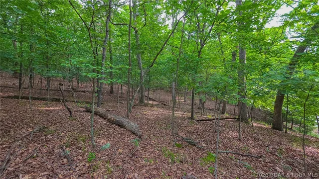 Primary bedroom — Lot #469 Grand View Drive Sunrise Beach Missouri real estate